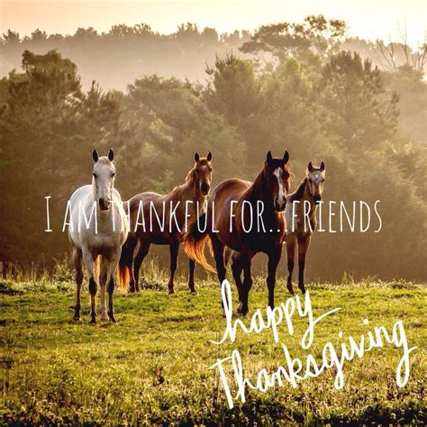 Dr. Kay Trotter, PhD, LPC-S, RPT-S | Horse riding quotes, Thanksgiving ...