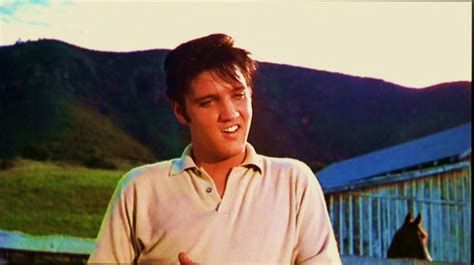 Elvis Photos from His Movies! - Elvis Presley's Movies Photo (30768694 ...