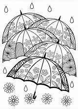Umbrella Blossoms In The Spring Rain Coloring Page  ColorBliss sketch template