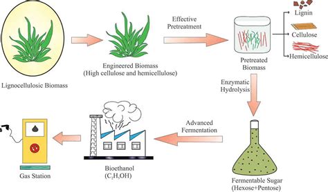 1G, 2G, 3G Bioethanol: What Are Different Bioethanol Generation Technologies? | ALL ABOUT PIPING