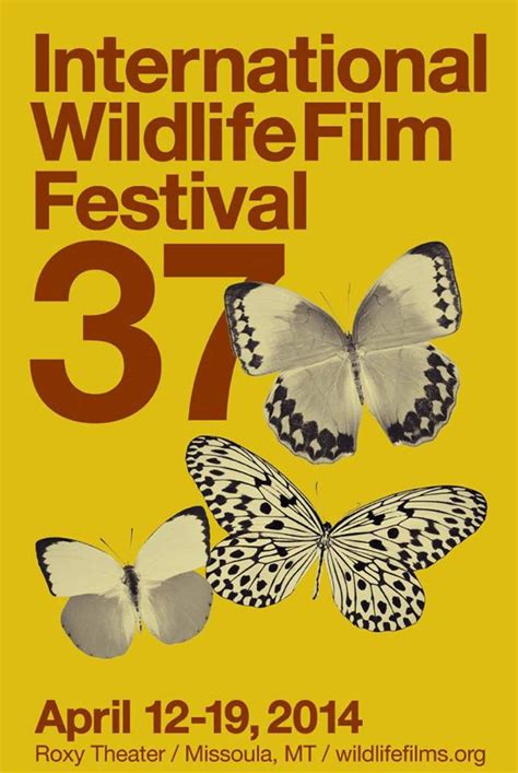 International Wildlife Film Festival This Week in Missoula | Montana Hunting and Fishing