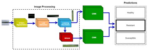 Sensors | Free Full-Text | Super Resolution Generative Adversarial Network (SRGANs) for Wheat ...