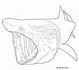 Shark Coloring Pages Toothy Terrors sketch template