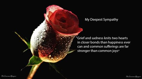 Condolence Sad Quotes Images and Wallpapers - 9to5 Car Wallpapers