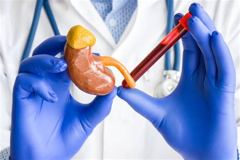 Kidney Function test in Bengaluru - Medvinlab.com