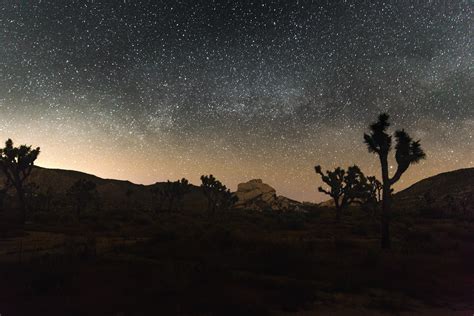 The night sky at Joshua Tree National Park, California [OC][5760x3840] : r/EarthPorn