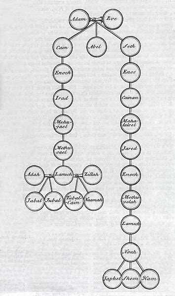 Adam and Eve family tree, 18th century C013 / 7820