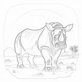 Rhinoceros Coloringpages101 Sketch Coloring Page sketch template