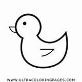 Rubber Ducky Coloring Page  Ultra Pages sketch template
