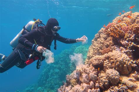 Protecting the Great Barrier Reef: Ultimate Guide to Conservation Efforts