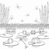 Disegno Stagno Da Colorare sketch template