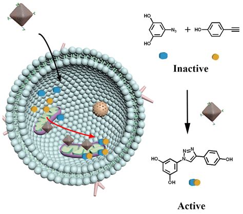 Localized Drug Synthesis Inside Cells - ChemistryViews