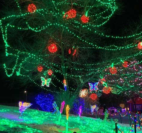 Zoo Lights dazzle in opening night sellout | CTV News