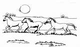Horse Herd Coloring Pages sketch template