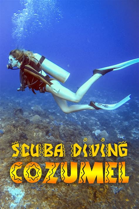 Scuba Diving in Cozumel with Scubatony • The Blonde Abroad