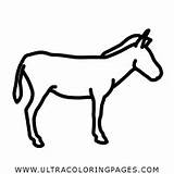 Dibujo De Burro Para Colorear  Ultra Coloring Pages sketch template