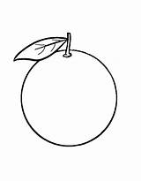 Orange Coloring Pages Free Printable PDF sketch template