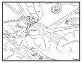 Habitats Rainforest Coloring Page Collection By Edmonston Studios sketch template