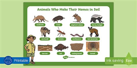 Soil Animals Grade 2 | Word Mat | Animals That Live In Soil