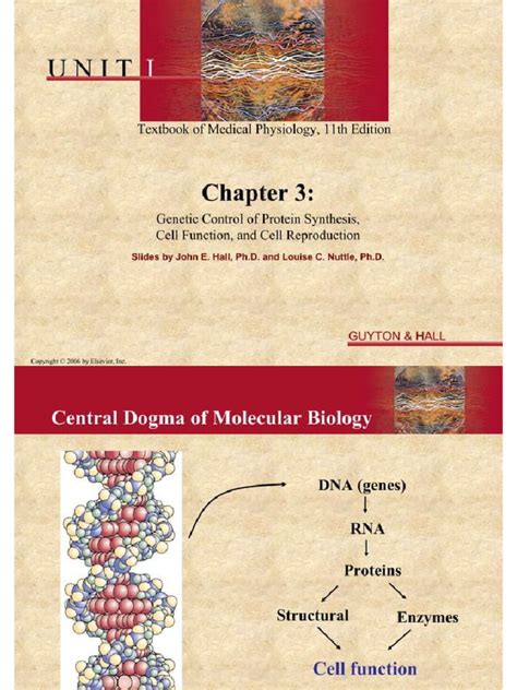 03.GENETIC CONTROL OF PROTEIN SYNTHESIS ,CELL FUNCTION,AND CELL REPRODUCTION | PDF