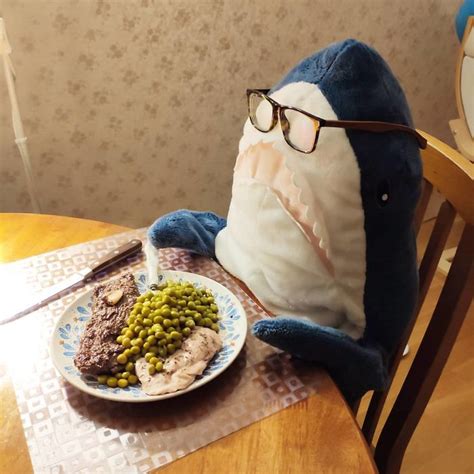 40+ Photos Proving That This Plush Shark From IKEA Is Everyone’s Latest Obsession - Success Life ...