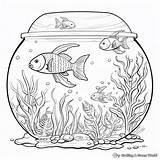 Aquarium Coloring Pages  Free & Printable sketch template
