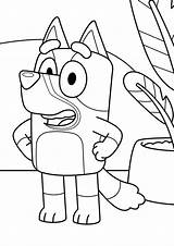 Bluey Coloring Pages  Free Printable For Kids sketch template