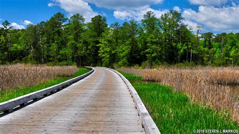 Colonial National Historical Park | JAMESTOWN ISLAND DRIVE