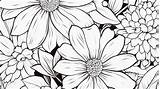Exploring The Therapeutic Art of Coloring Unveiling Magic Of  sketch template