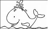 20  Free Printable Whale Coloring Pages EverFreeColoringcom sketch template