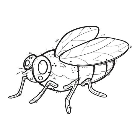 Cartoon flies illustration cute vector. Coloring pictures, clip art, icons for decoration ...