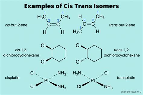 Cis and Trans Isomers