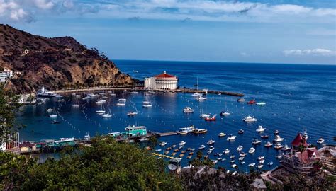 Quick Guide to Catalina Island | Drive The Nation