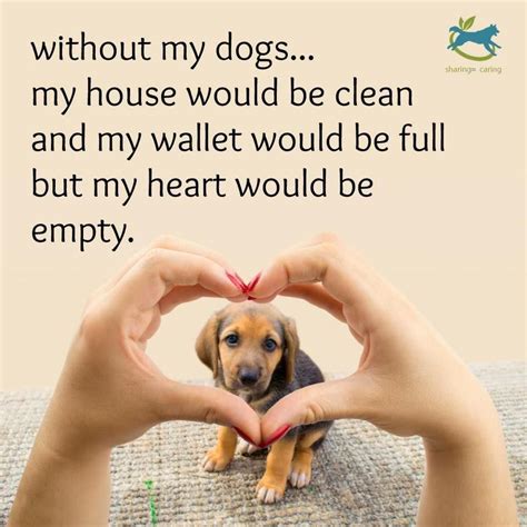 A house without a dog, is no home at all. | Animal lover quotes, Dogs, Dog quotes