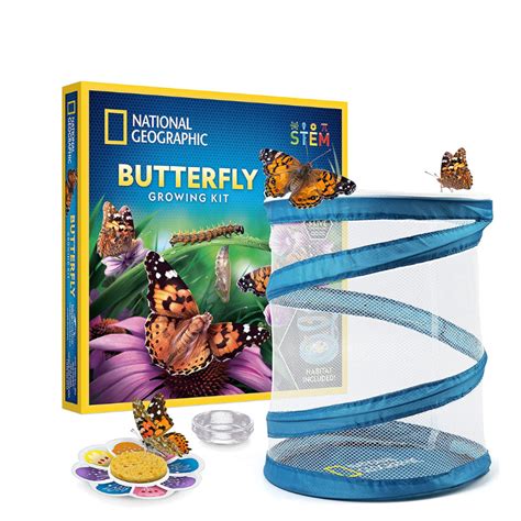 National Geographic Butterfly Growing Kit - The Good Play Guide