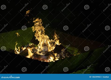 Fireplace on the Snow Outdoor Stock Image - Image of forest, fire: 136239965