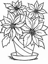 Flower Coloring Pages  Free Download On ClipArtMag sketch template