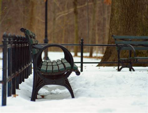 Park Bench | A park bench at the Prospect Park zoo in Brookl… | Flickr