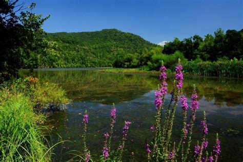 Bluestone State Park in Hinton | West Virginia | State park