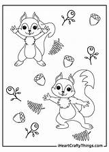 Squirrel Coloring Pages sketch template