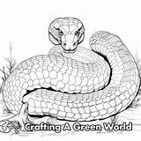 Snake Coloring Pages  Free & Printable sketch template