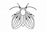 Premium Vector  Black And White Moth fly insect clipart coloring Page sketch template