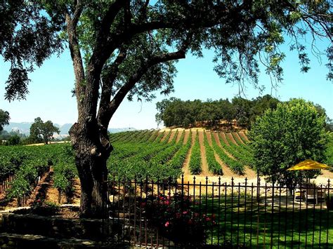 Justin Vineyards Paso Robles California Wine Country Winery Photograph by Ron Bartels