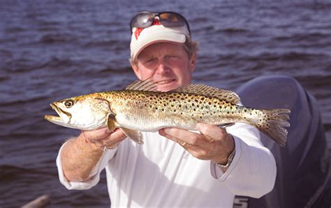 Southwest Florida spotted sea trout. - Canadian Sportfishing