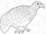 Sky High Turkey Vulture Coloring  Page sketch template