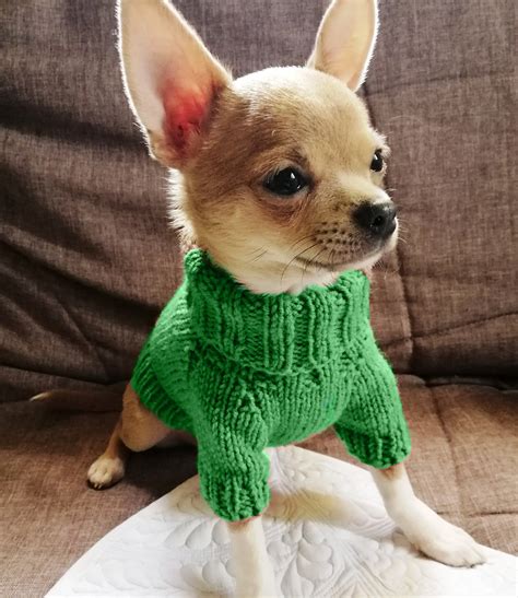 Chihuahua clothes Puppy clothes Chihuahua sweater XXS dog | Etsy