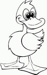 Lucky Ducky Coloring Pages sketch template