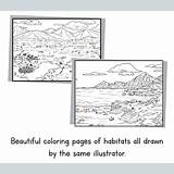 Polar Habitat Coloring Pages  Nature Biome Drawing Activity TPT sketch template