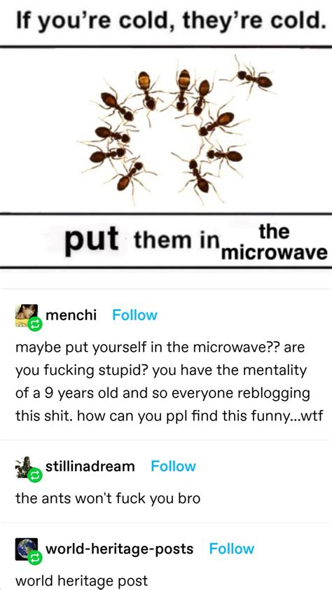 Ants : r/tumblr