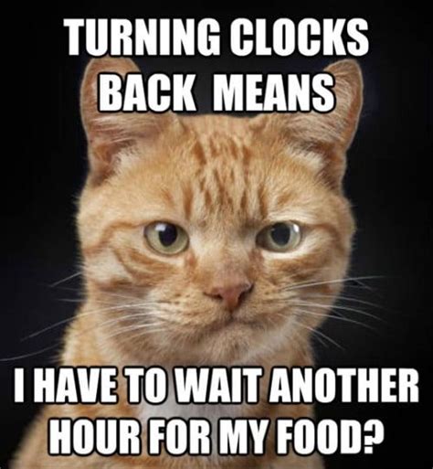 15+ Of The Best & Funniest Daylight Savings Time Memes